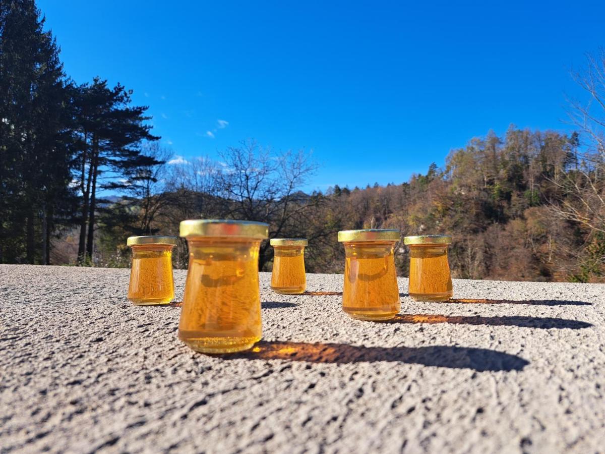 Greenriver Appartamento Spodnje Gorje