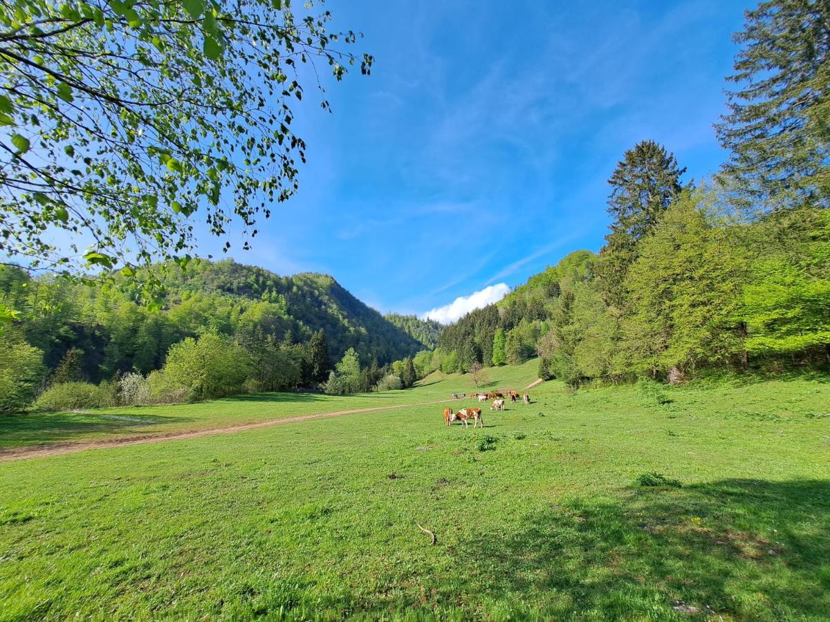 Appartamento Greenriver Spodnje Gorje