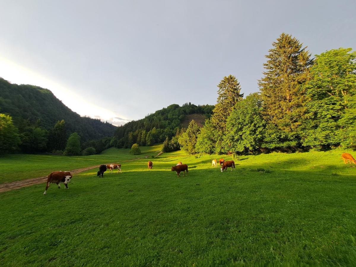 Appartamento Greenriver Spodnje Gorje